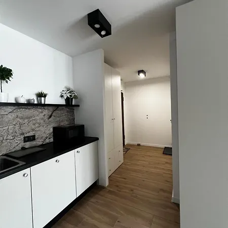 Przytulny W Samym Centrum Apartment