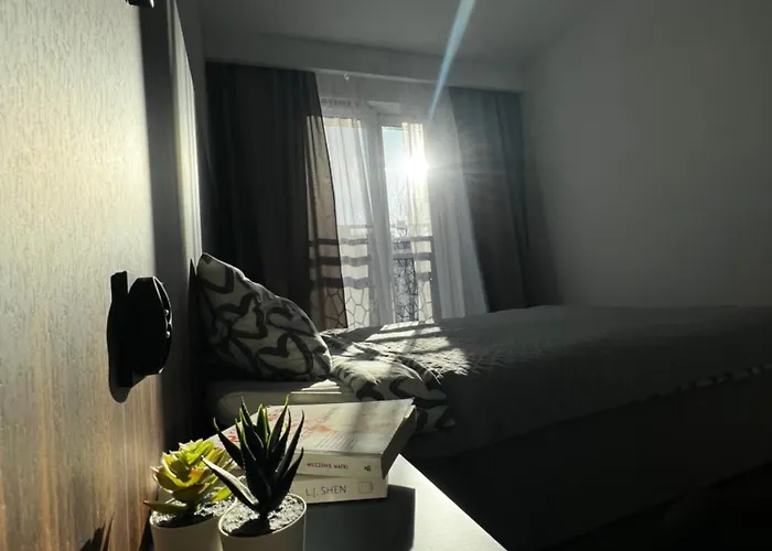 Przytulny W Samym Centrum 公寓 罗兹