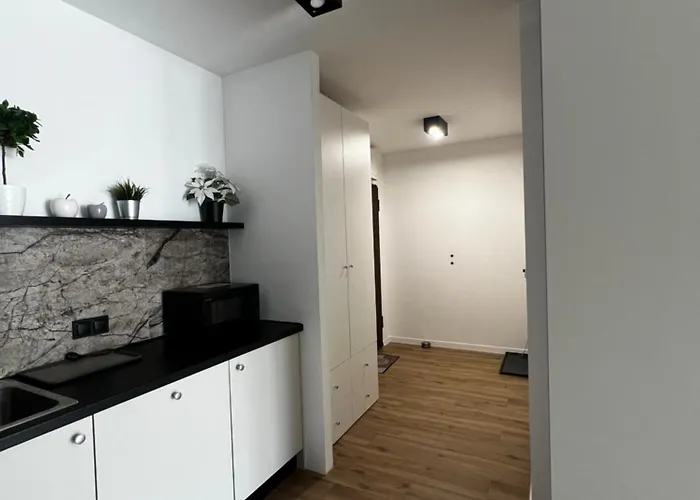 Przytulny W Samym Centrum 公寓