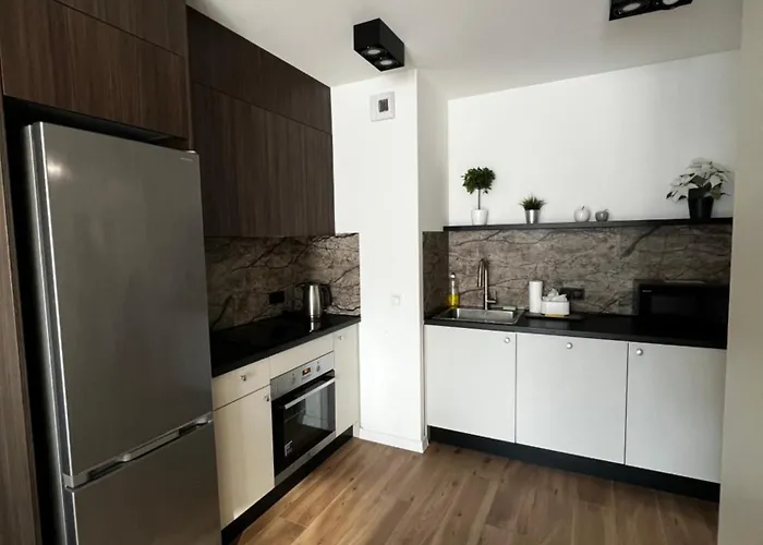 Przytulny W Samym Centrum 公寓 罗兹